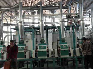 產(chǎn)品名稱(chēng)：日加工面粉10噸--30噸成套設備
產(chǎn)品型號：
產(chǎn)品規格：