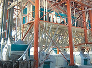 產(chǎn)品名稱(chēng)：日加工小麥30噸---200噸鋼架式成套設備
產(chǎn)品型號：
產(chǎn)品規格：